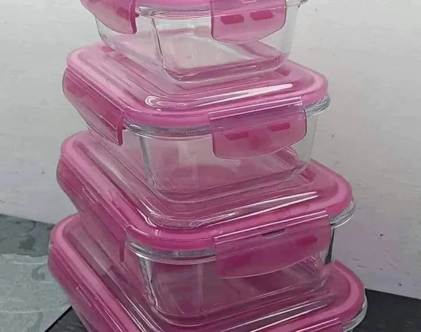 4pc Borosilicate Glass Food Containers