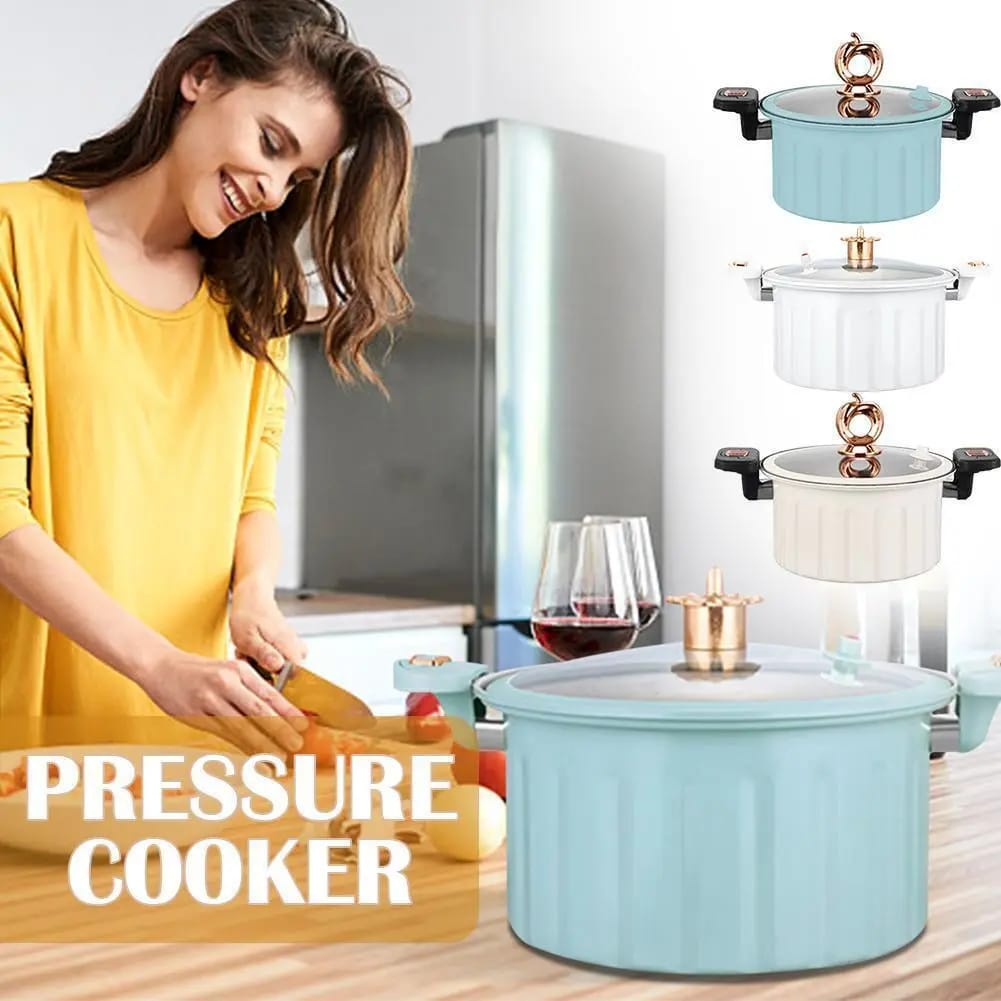 Single piece Roma 10L Nonstick mini pressure cooker sufuria