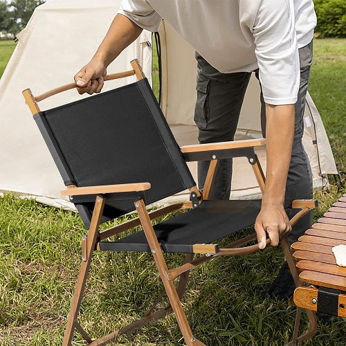 Outdoor Kermit Camping Chair