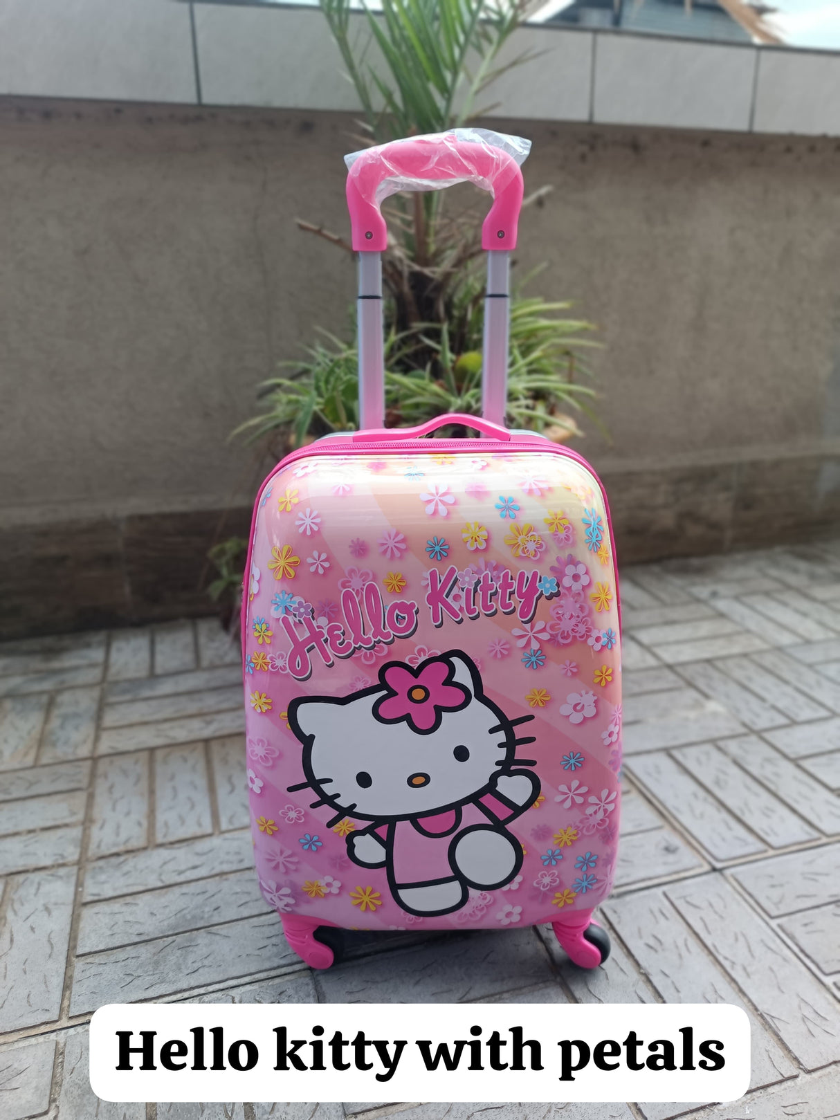 Cartoon Themed Fibre Suitcase for kids