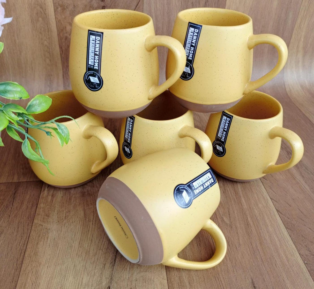 Classy mugs [set of 6]